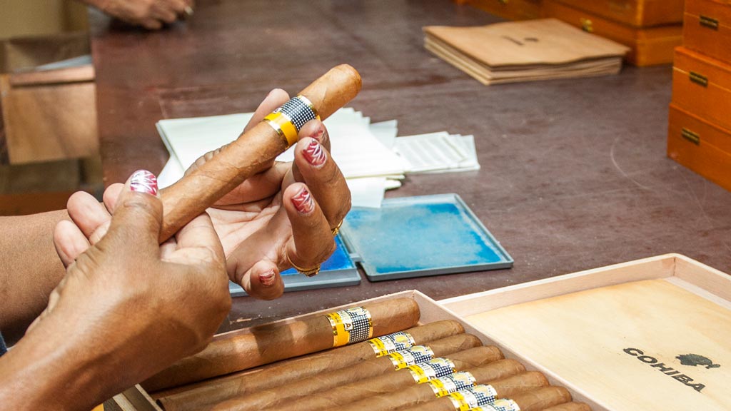 Cohiba Zigarren Herstellung
