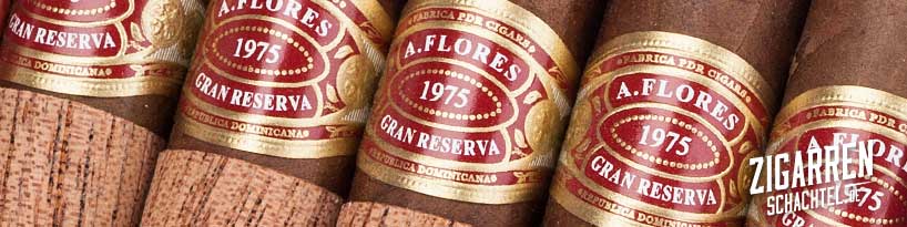 A. Flores 1975 Gran Reserva Corojo Zigarren