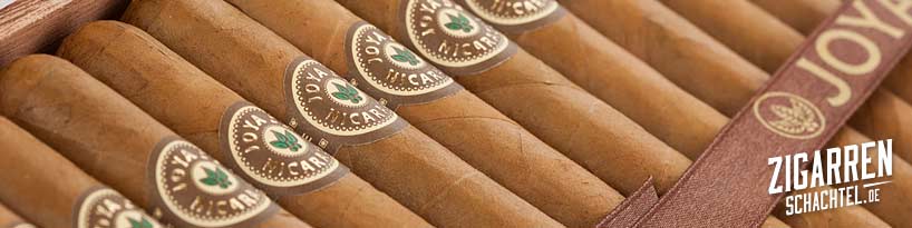 Joya de Nicaragua Clasico Zigarren
