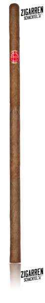 Die längste Zigarre der Welt