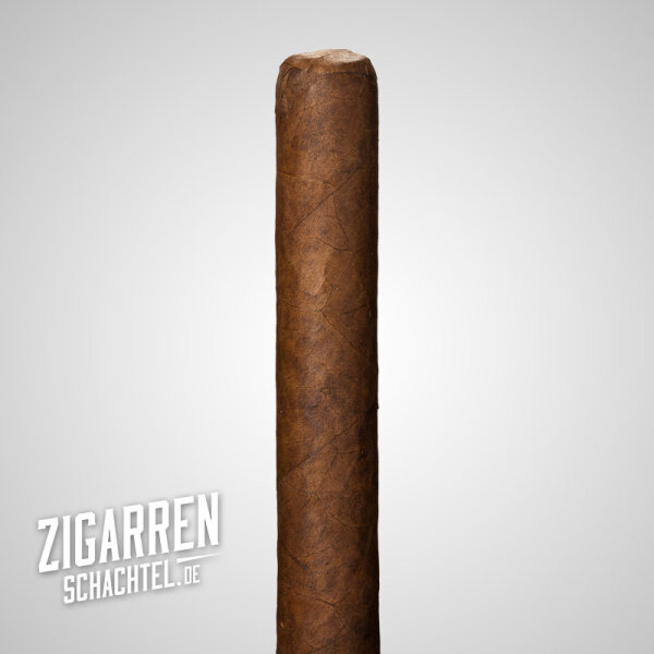 Cusano Honduras Bundle Half Corona einzeln