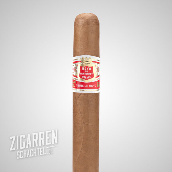 Hoyo de Monterrey Le Hoyo De San Luis