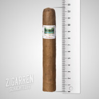 John Aylesbury La Pintura Robusto