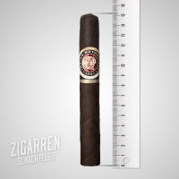 Indian Motorcycle Toro Maduro