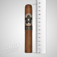 ROOM 101 Farce Robusto