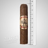 Dalay Oase Petit Robusto