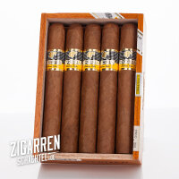 Cohiba Siglo VI 10er Box