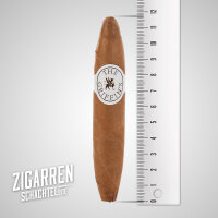 The Griffins Perfecto 4er Packung (3% Kistenrabatt)