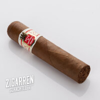 Hoyo de Monterrey Petit Robusto einzeln