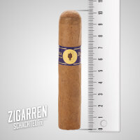 Santa Damiana Short Robusto einzeln