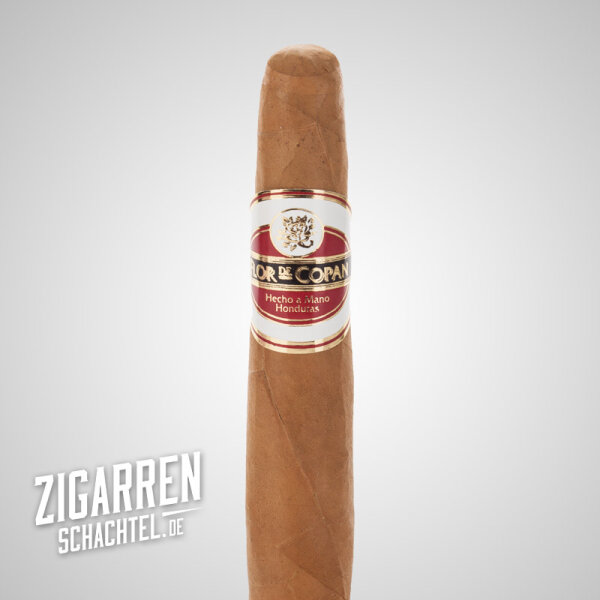 Flor de Copan Classic Gordito 20er Box (3% Kistenrabatt)