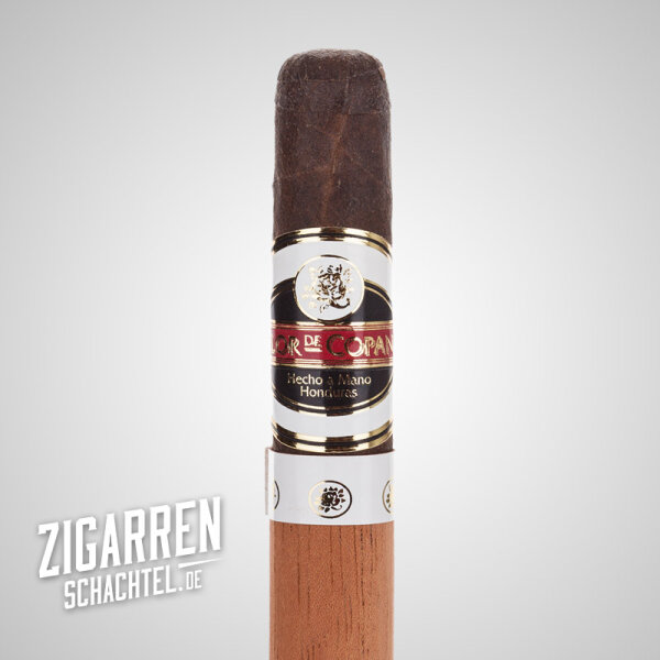 Flor de Copan Maduro Corona einzeln