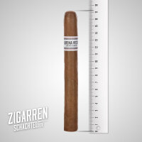 Buena Vista Churchill einzeln