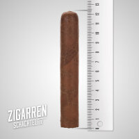 Cusano Robusto einzeln