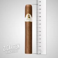 Davidoff Winston Churchill Robusto einzeln