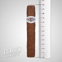 J.L Piedra Petit Caballeros 12er Box