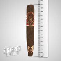 Oliva Serie V 135 Aniversario Edicion Real einzeln