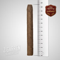 Jacob van Meer Corona