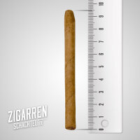 Jacob van Meer Cigarillos